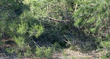 Uçuruma yuvarlanan traktör sürücüsü hayatını kaybetti