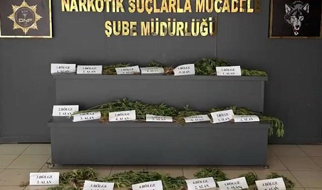 UNESCO Dünya Mirası Listesi'ndeki Hevsel Bahçeleri'nde uyuşturucu ele geçirildi