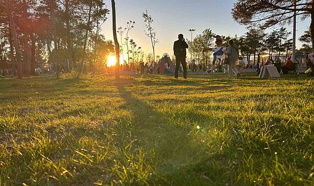 Uzmanlardan kene uyarısı: "Bilinçsiz müdahale riski artırıyor"
