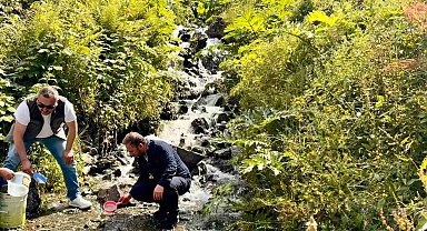 Uzungöl ve çevresindeki derelere 15 bin kırmızı benekli yavru alabalık bırakıldı