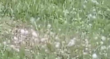 Van'da ceviz büyüklüğünde dolu yağışı