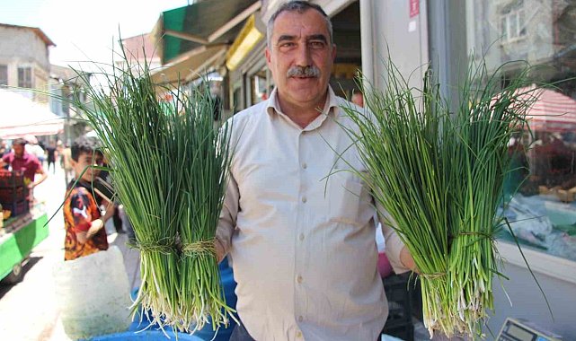 Van'da karların geç erimesi şifalı otların tezgah ömrünü uzattı