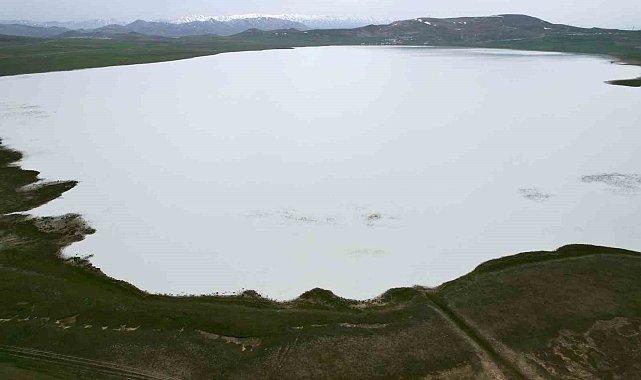 Van'ın kuş cenneti Akgöl misafirlerini bekliyor