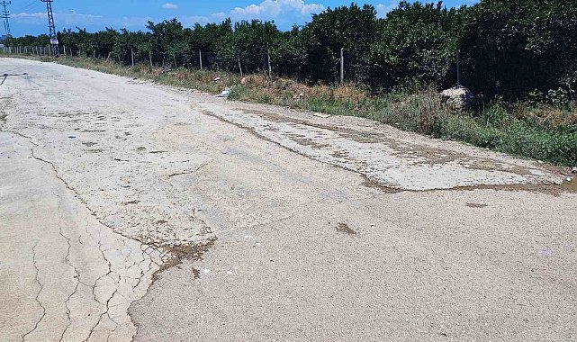 Vatandaş belediyeden umudu kesince cebinden para verip çukura beton döktü