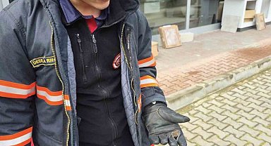 Yaralı yarasa koruma altına alındı