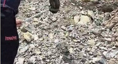 Yatak ve halıların arasına saklanan yılanı itfaiye buldu