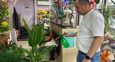 Yaz aylarında çiçek bakımında bunlara dikkat