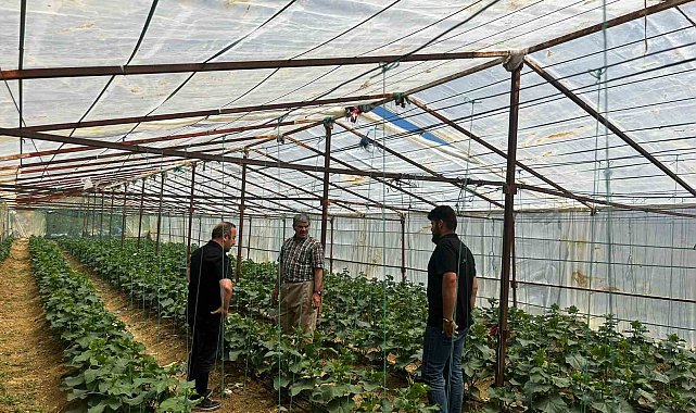Yüksekova Tarım ve Orman Müdürlüğü ekiplerinden çiftçilere saha desteği