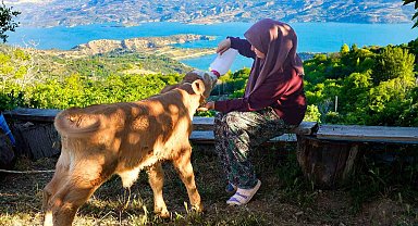 Zehra'nın hayvan sevgisi sosyal medyada ilgi odağı oldu