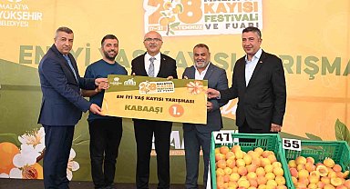 'En İyi Kayısı' yarışması düzenlendi
