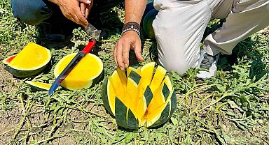 'Tropical Sunshine' üreticinin yüzünü güldürüyor