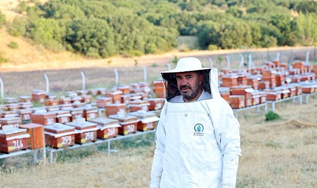 Abadan Bal Ormanı'nda yeni sezon bal hasadı