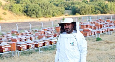 Abadan Bal Ormanı'nda yeni sezon bal hasadı