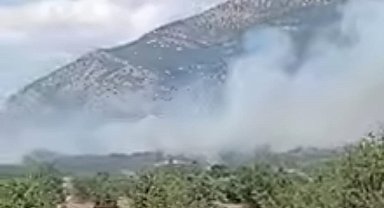 Acıpayam'daki orman yangını kontrol altına alındı