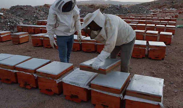 Adıyaman'da 2026 yılı bal fiyatları açıklandı