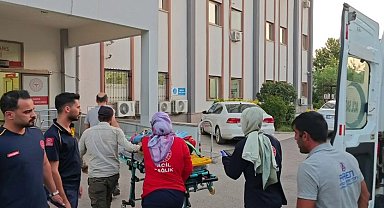 Adıyaman'da kamyonet devrildi: 6 yaralı