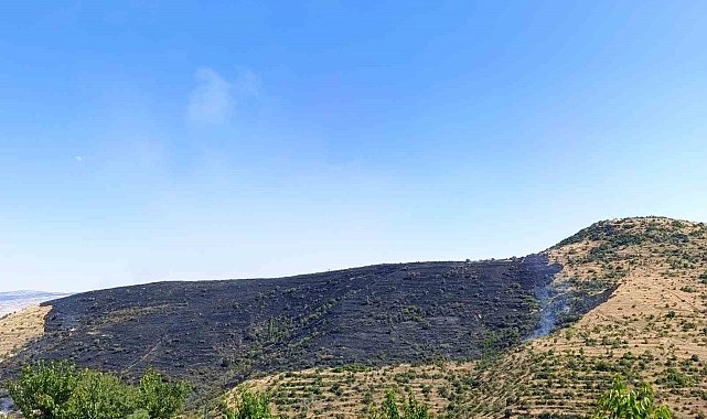 Afyonkarahisar'da çıkan yangında 150 hektarlık alan zarar gördü