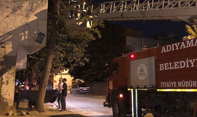 Ağaçta mahsur kalan kediyi itfaiye ekipleri kurtardı