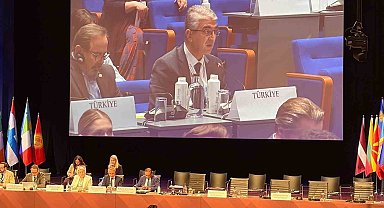 AGİT'te Türkiye rüzgarı: MHP'li Aydın'dan gençleri dijital tehditlerden koruyacak tarihi tasarı