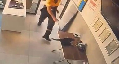 Akaryakıt istasyonunda kedinin saldırdığı kargayı görevli kurtardı