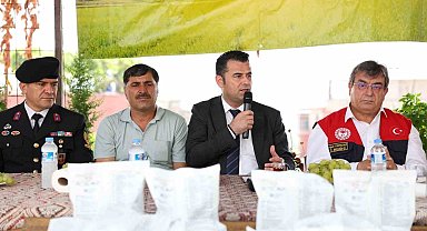 Akdeniz'de meyve sineğiyle mücadeleye ilaç desteği