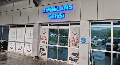 Alaplı'da 'pat-pat' kazası: 2 yaralı