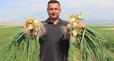 Amasya'da soğan bir bardak çaydan bile ucuz