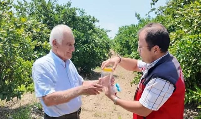 Andırın'da faydalı böcek ile doğal mücadele