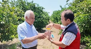 Andırın'da faydalı böcek ile doğal mücadele