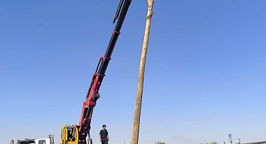 Anız yangınları enerji altyapısını da tehdit ediyor