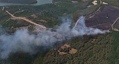 Anızdan ormana sıçrayan yangın dron ile görüntülendi
