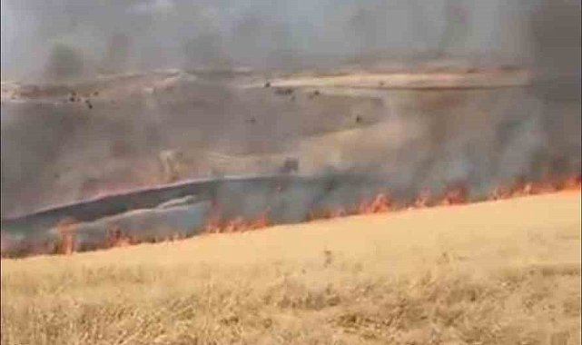 Ankara'da çıkan ot yangını kontrol altına alındı
