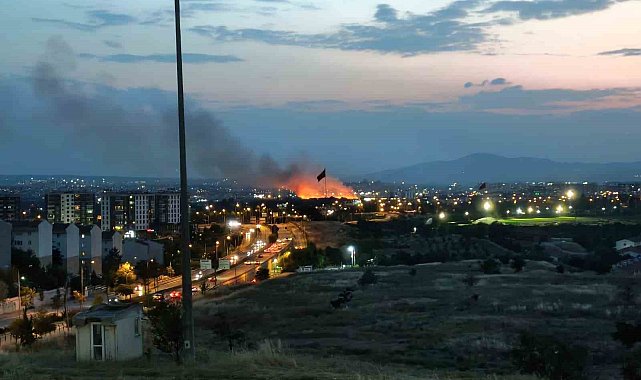 Ankara'da otluk arazide yangın