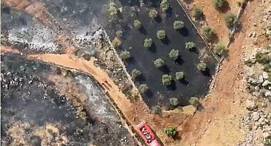 Antalya'da ormanlık alanı tehdit eden yangın