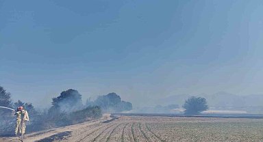 Antalya'da rüzgarın etkisiyle büyüyen anız yangını söndürüldü