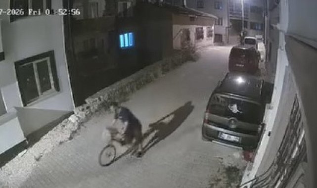 Apartmana girip elini kolunu sallayarak ayakkabı ve bisiklet çaldı