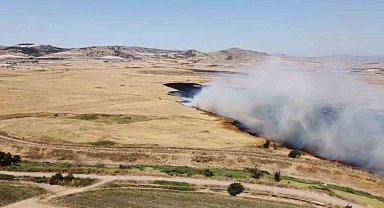 Arazi yangını etrafı küle çevirdi