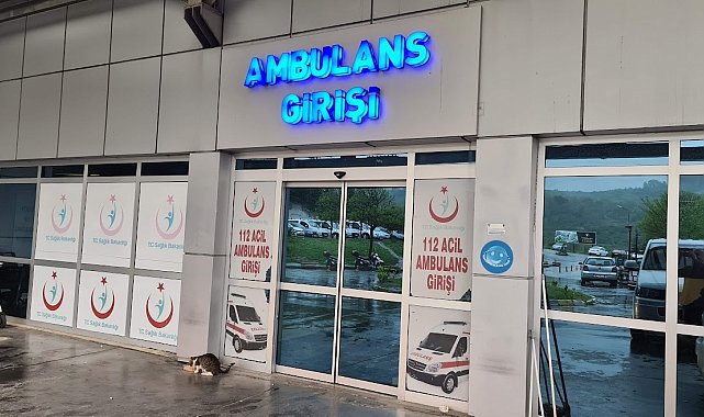 Arı sokması sonucu yoğun bakıma kaldırıldı