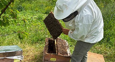 Artvin'de bal hasat sezonu öncesi üreticilerle buluşma