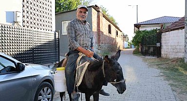 Ayhan amca yokluktan değil, sürücü belgesi olmadığından eşeği ile servis yapıyor