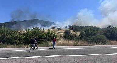 Ayvacık'ta orman yangını