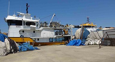 Balıkçıların yeni sezonda umudu palamut