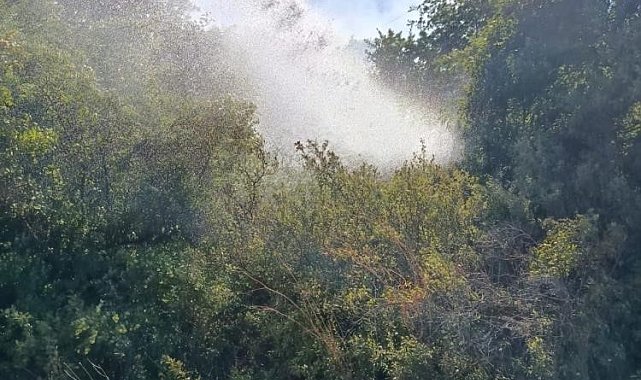 Balıkesir'de dün 5 farklı alanda zirai alan yandı