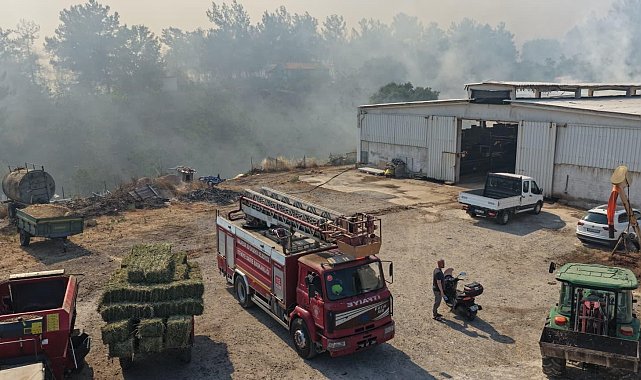 Balıkesir'de üç ayrı noktada yangın