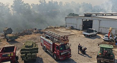 Balıkesir'de üç ayrı noktada yangın
