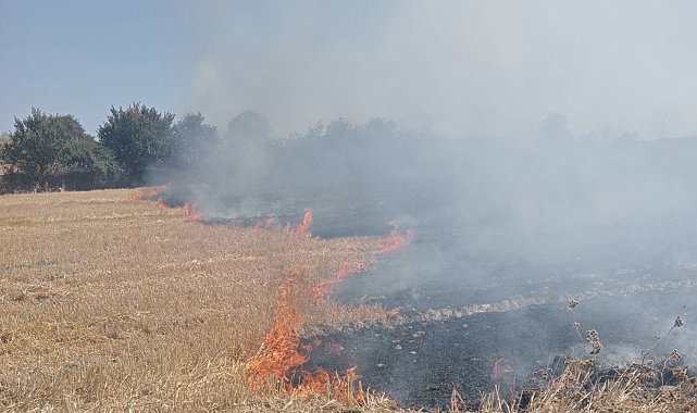 Bandırma'da anız ve çalılık alanda çıkan yangın söndürüldü