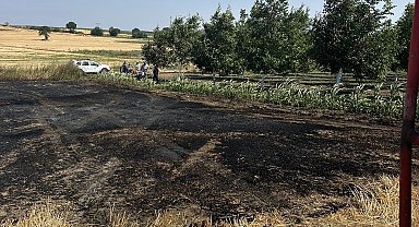 Bandırma'da çıkan anız yangını büyümeden söndürüldü