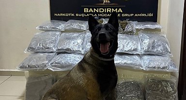 Bandırma'da gübre torbalarının altına gizlenen 11,2 kilo skunk ele geçirildi