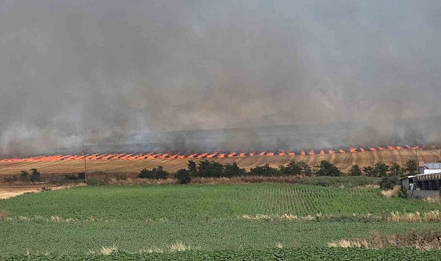 Bandırma'da korkutan yangın