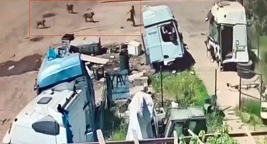 Başıboş köpeklerin saldırısından saniyeler ile kurtuldu